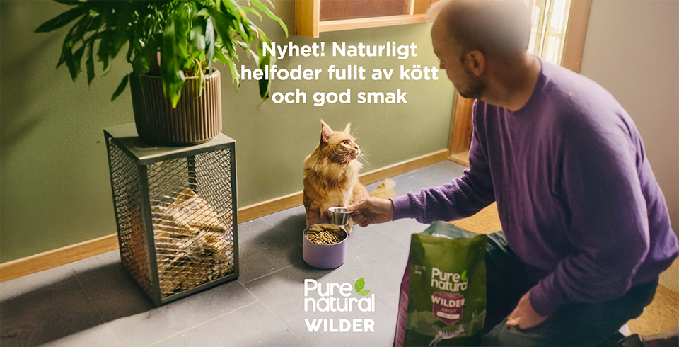 Purenatural Wilder Cat